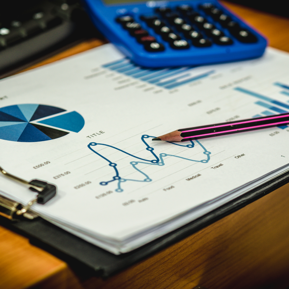 Pricing & Profitability Analytics